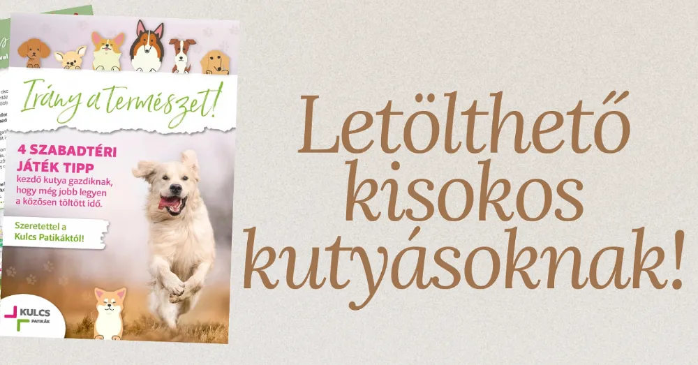 Irány a természet - kutyával!