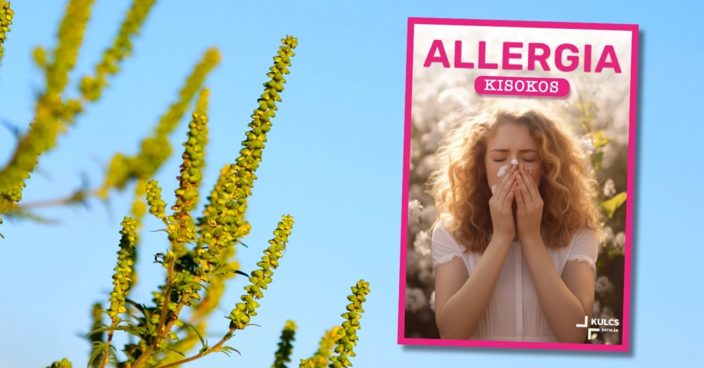 Allergia kisokos - töltsd le itt!