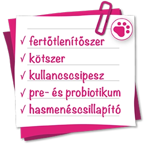 Az otthoni patikába fontos az állatgyógyászati termékek beszerzése is