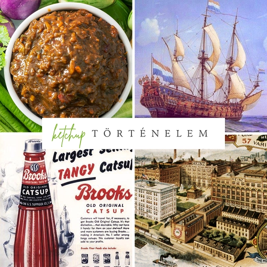 Gyógyszernek indult, aztán...A ketchup története
