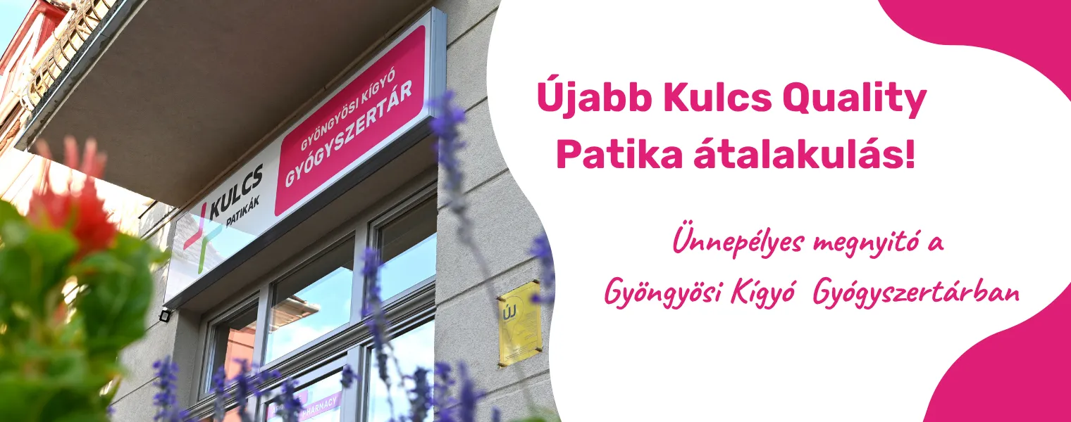 Gyöngyösi Kígyó megnyitó - okt